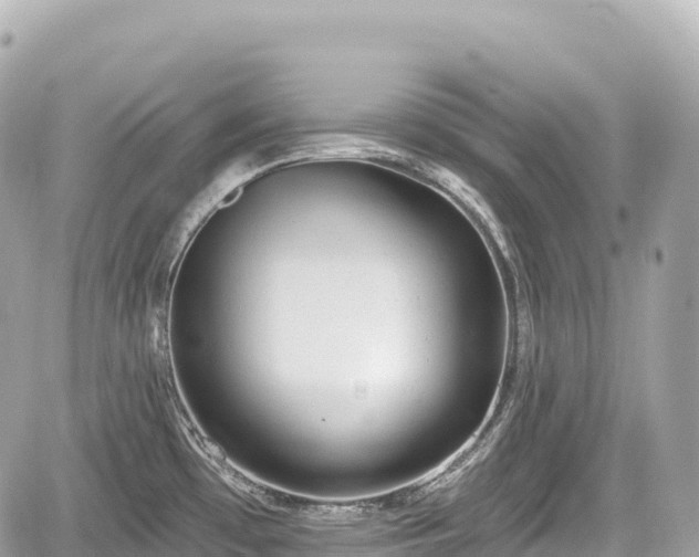 X0000059041481200510100957