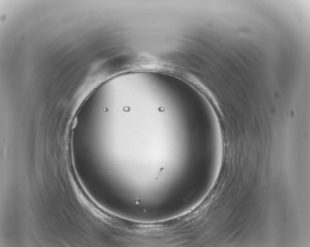 X0000059041483200510100957