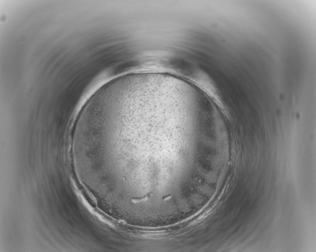 X0000059041484200510100957