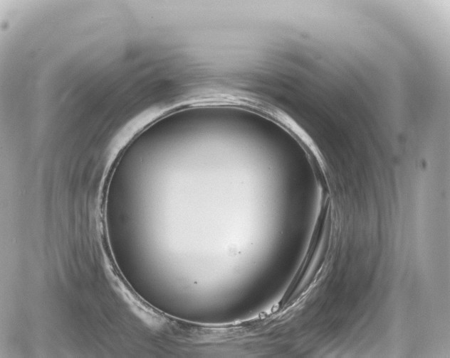 X0000059041485200510100957