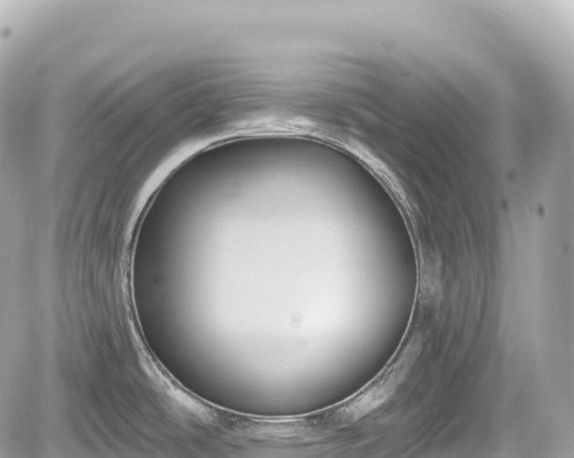 X0000059041486200510100957