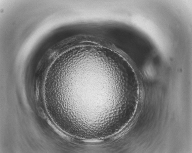 X0000059041487200510100957