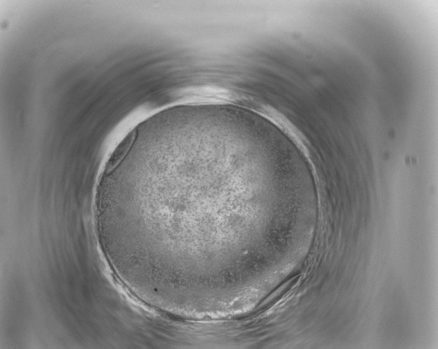 X0000059041488200510100957