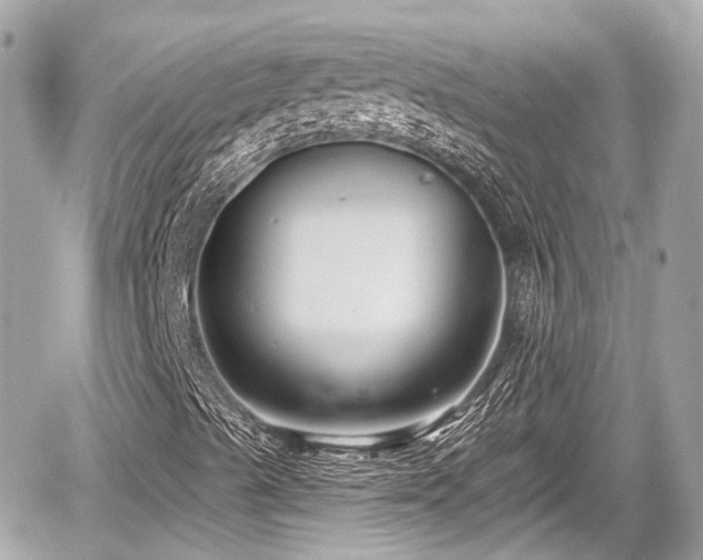 X0000059041489200510100956