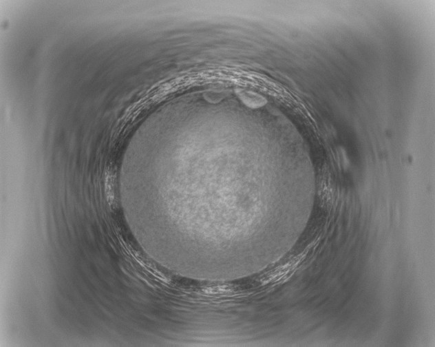 X0000059041490200510100956