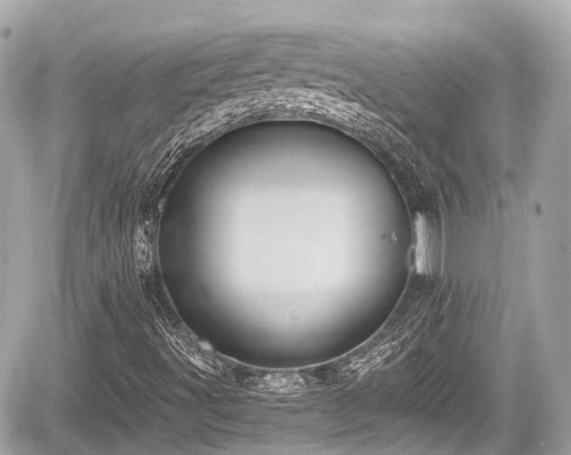 X0000059041491200510100956