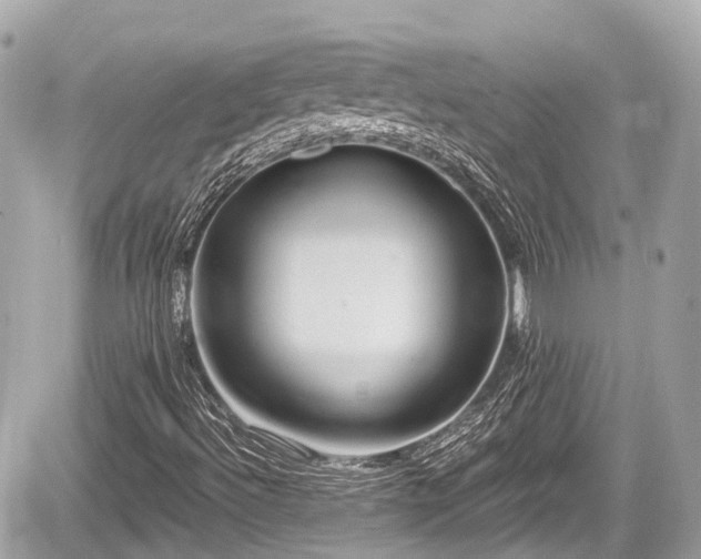 X0000059041492200510100956