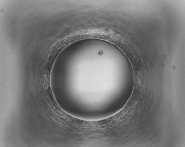 X0000059041493200510100956