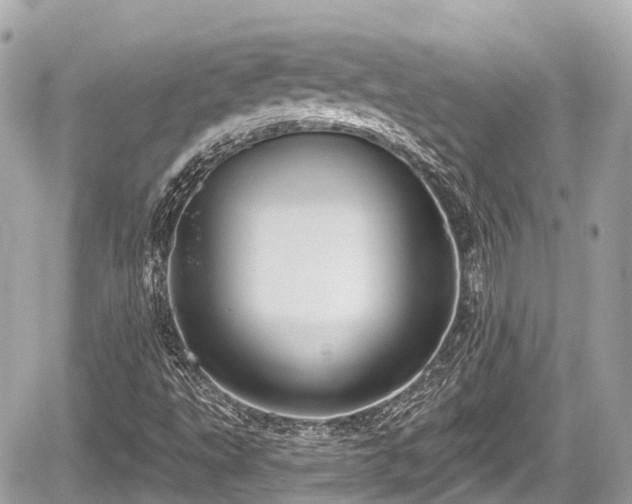 X0000059041495200510100956