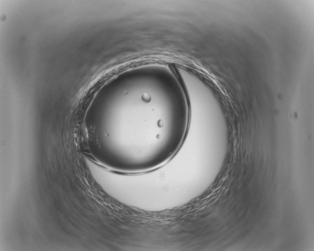 X0000059041496200510100956