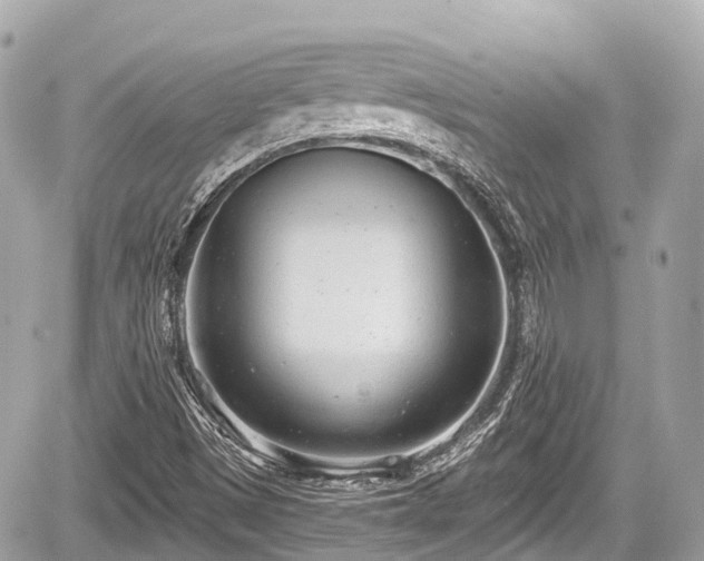 X0000059041497200510100956