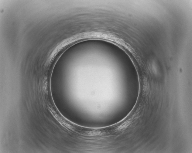 X0000059041499200510100956