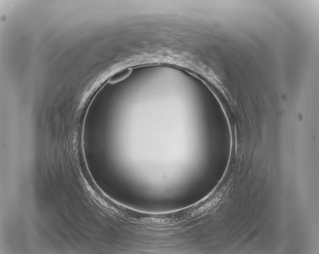 X0000059041500200510100956