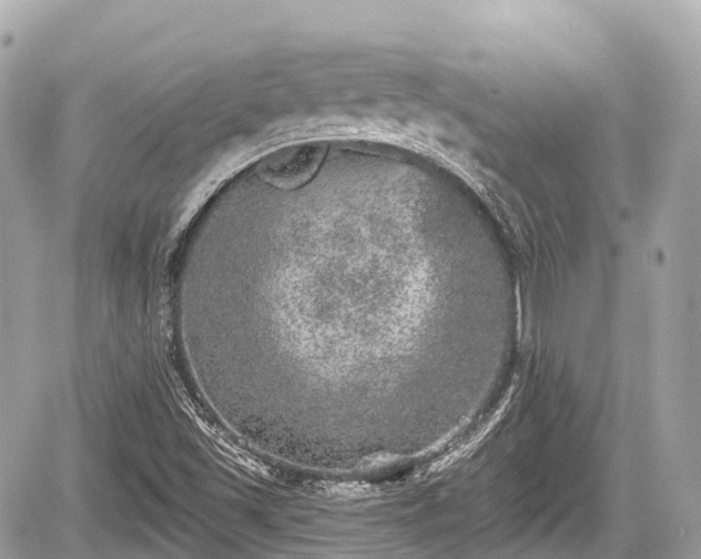 X0000059041501200510100956