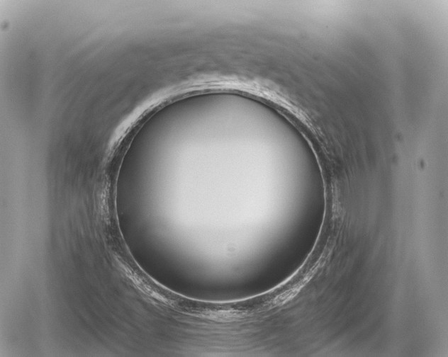 X0000059041502200510100956