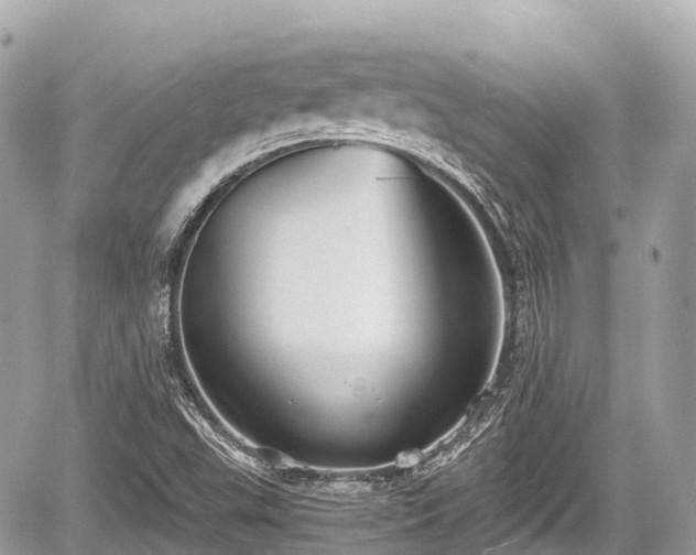 X0000059041503200510100956