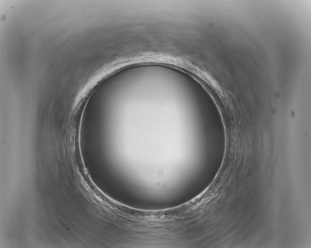 X0000059041504200510100956