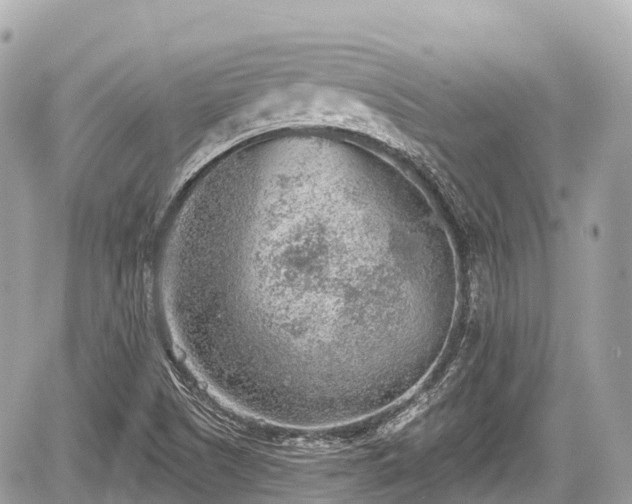 X0000059041505200510100956