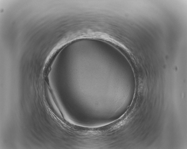 X0000059041506200510100956