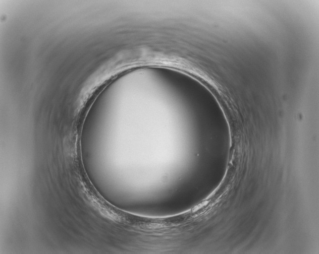 X0000059041507200510100956