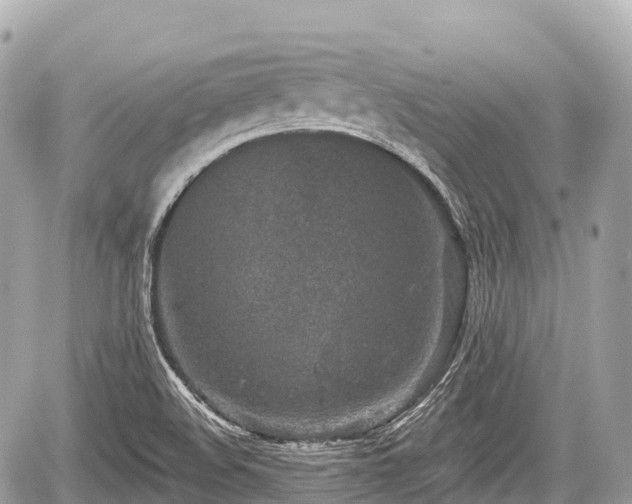 X0000059041508200510100956