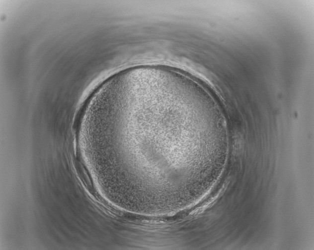 X0000059041509200510100956