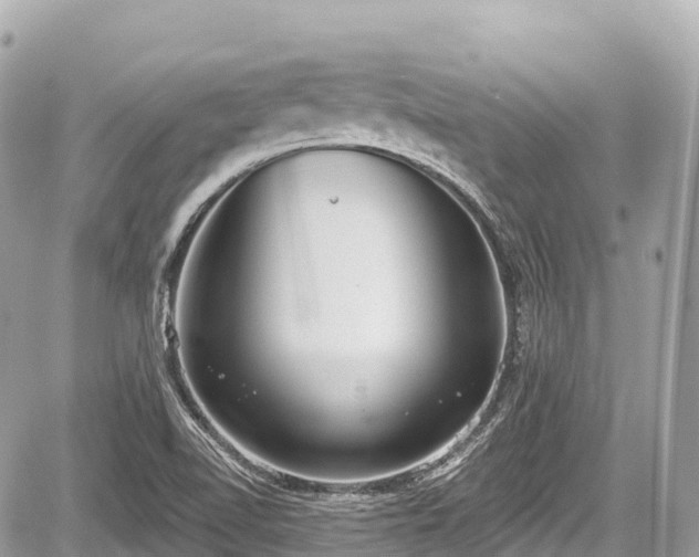 X0000059041510200510100956