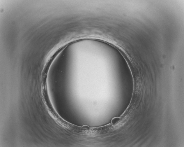 X0000059041511200510100956