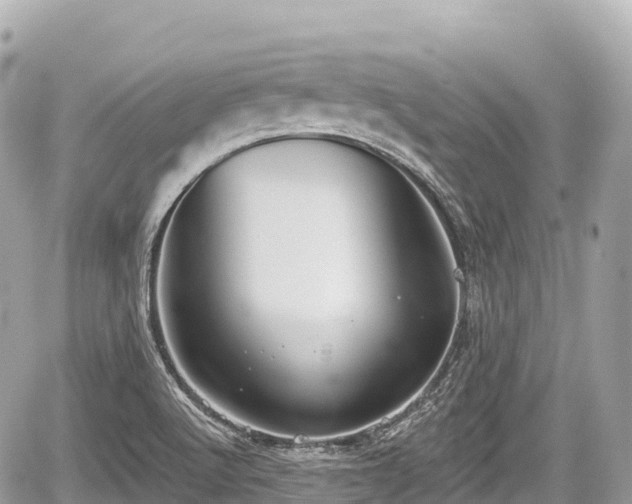 X0000059041512200510100956