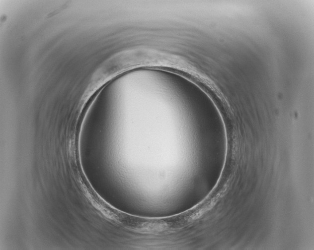 X0000059041513200510100956