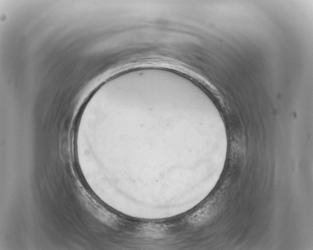 X0000059041514200510100956