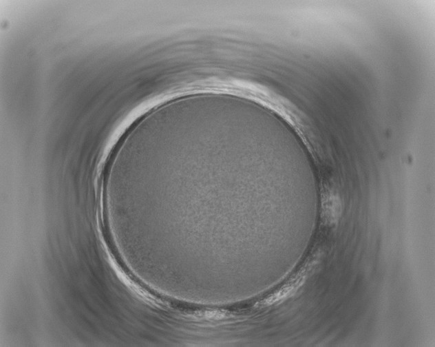 X0000059041515200510100956