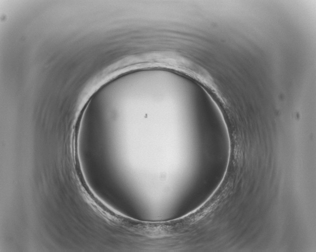 X0000059041516200510100956