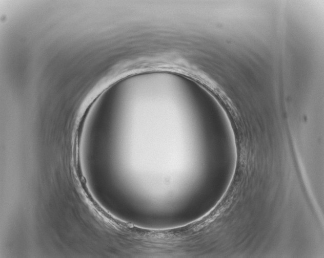 X0000059041520200510100957