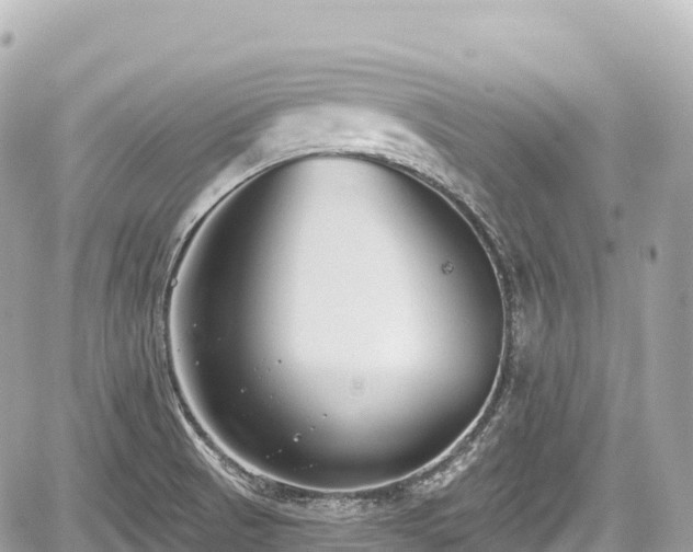 X0000059041521200510100957