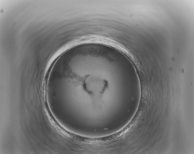 X0000059041522200510100957