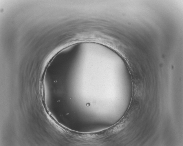 X0000059041527200510100957