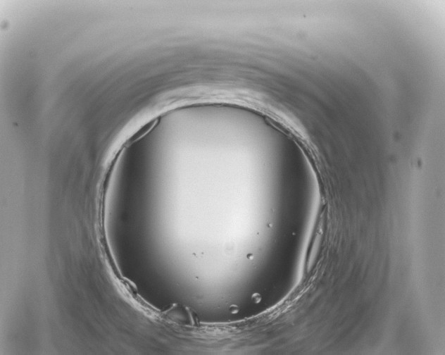 X0000059041528200510100957