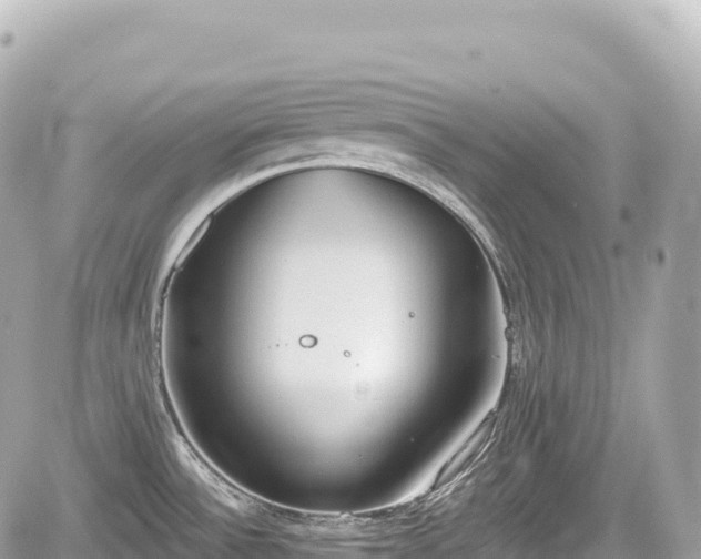 X0000059041532200510100957