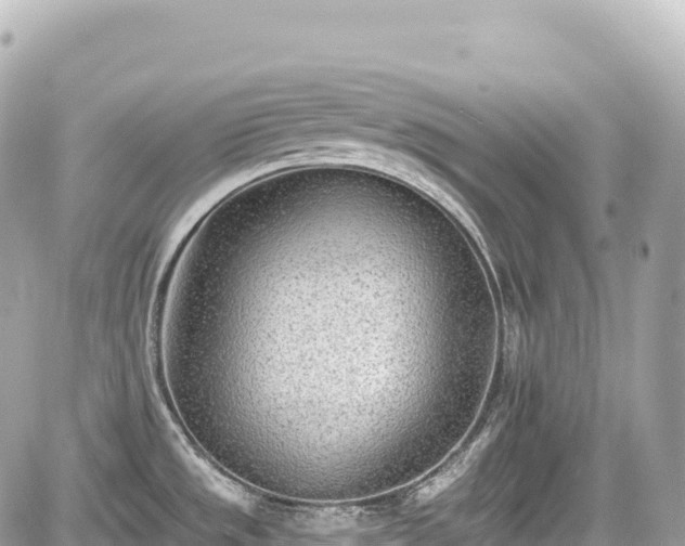 X0000059041533200510100957