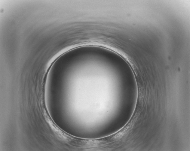 X0000059041534200510100957