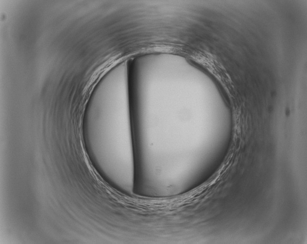 X0000059040001200510171900