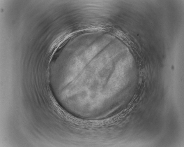 X0000059040002200510171900