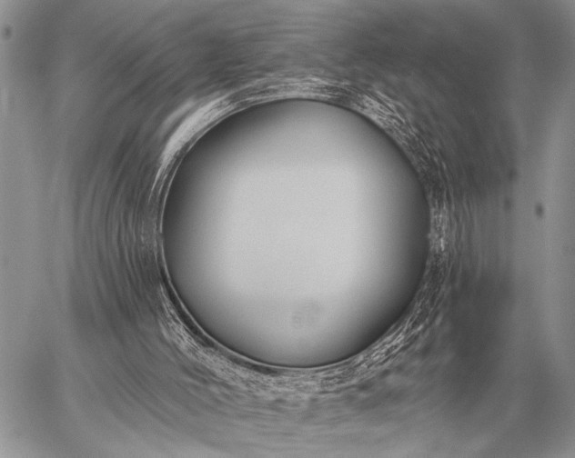 X0000059040004200510171900