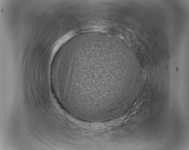 X0000059040006200510171900