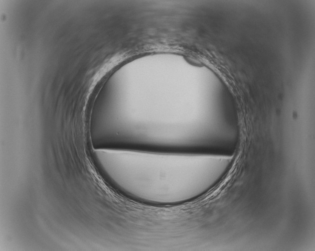 X0000059040008200510171900