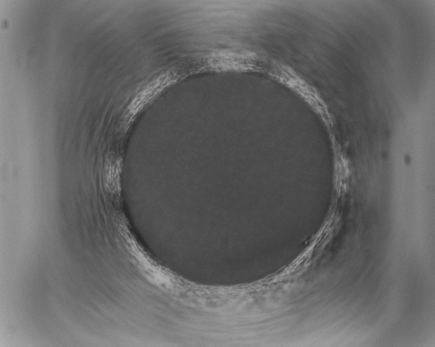 X0000059040009200510171900