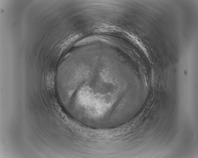 X0000059040010200510171900