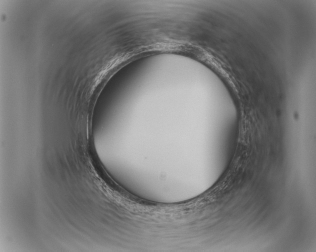 X0000059040011200510171900