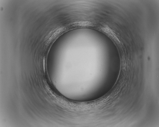 X0000059040014200510171900